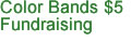Color Bands Fundraising